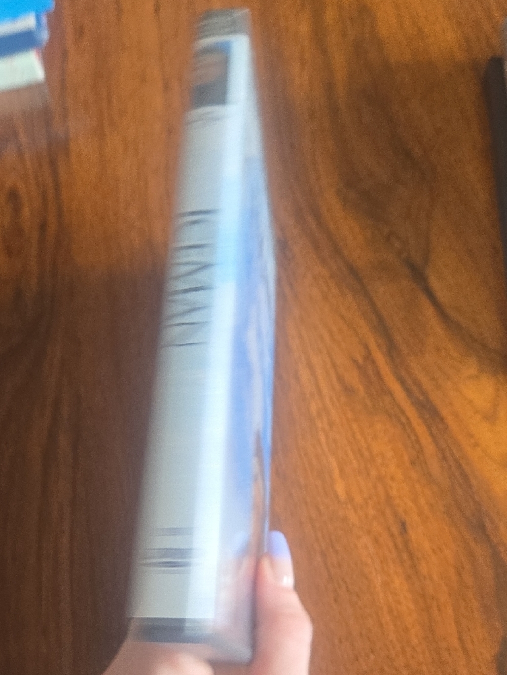 Iceman DVD - Picture 3 of 3